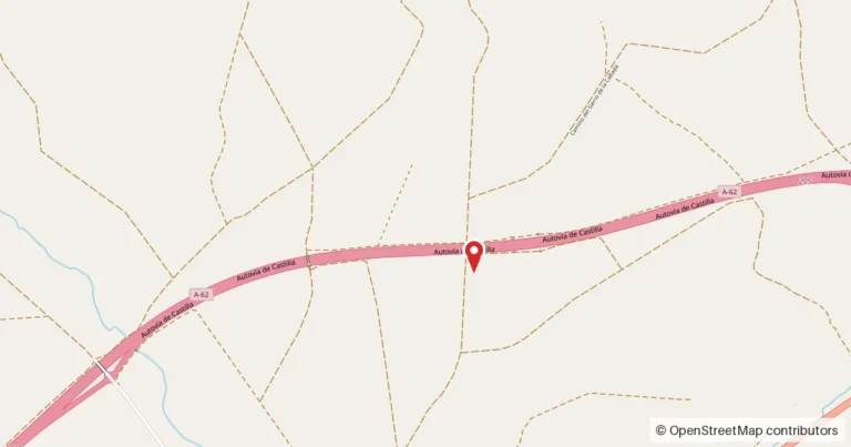 Mapa del lugar del suceso: Autovía A-62, kilómetro 209, Parada de Rubiales