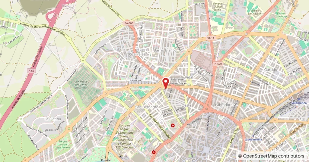 Mapa del lugar del suceso: carretera de Ledesma, número 86