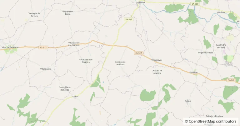 Mapa de situación de Doñinos de Ledesma